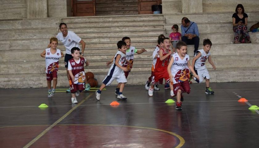 Basket & MiniBasket Hippo, mercoledì 20 è in programma l’Open Day