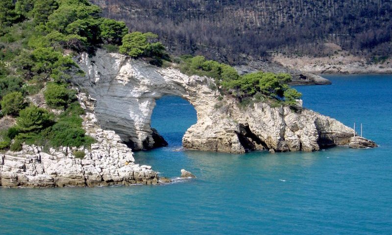 Guide e accompagnatori culturali per scoprire le magie del Cilento