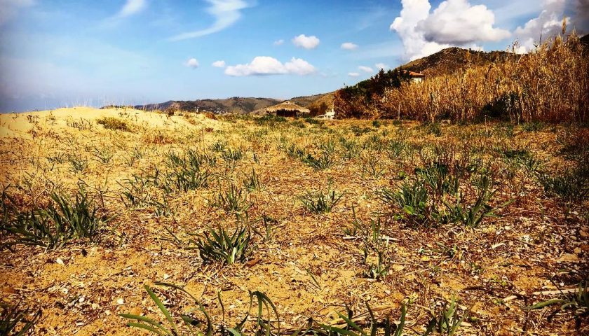 Giglio di mare nel degrado, l’accusa di Cirielli e la replica del Sindaco