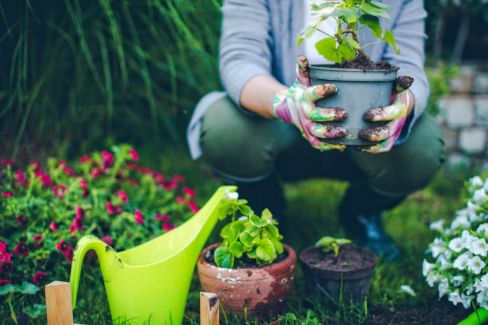 Bonus giardini, incentivi fino al 36% anche per le terrazze fiorite