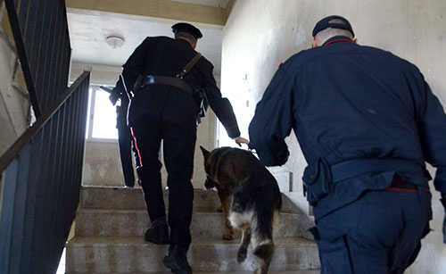 Droga, soldi e pistola: Ciro Persico torna in carcere