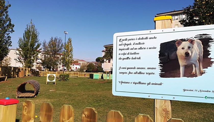 Baronissi, inaugurato il Dog Park in via Berlinguer