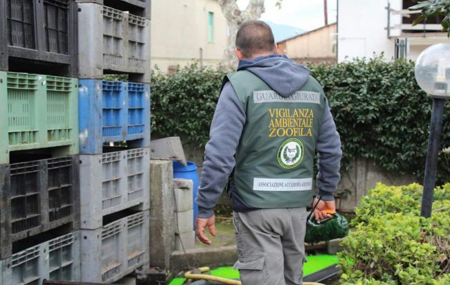 Smaltimento illecito di reflui, denunciato il titolare di un frantoio