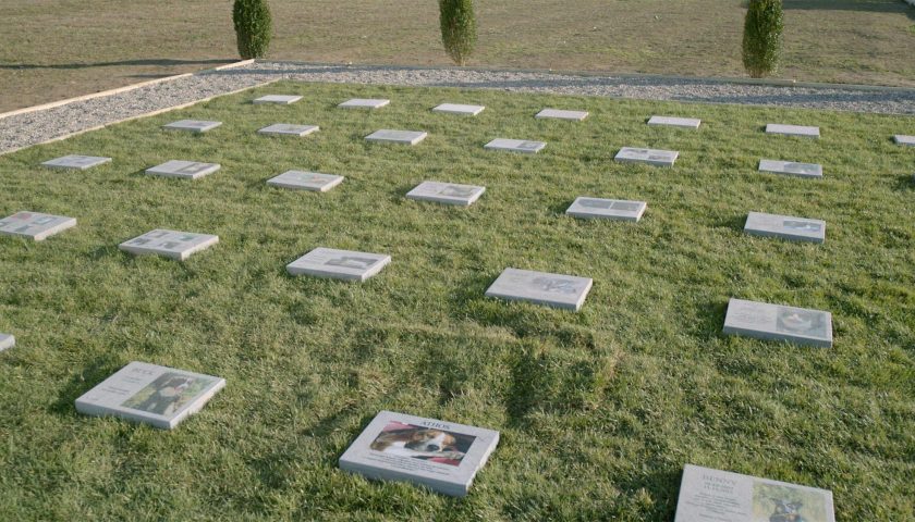 Capaccio Paestum, si lavora per realizzare un cimitero per cani e gatti