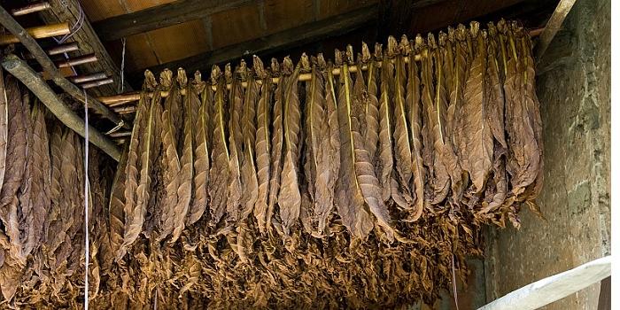 Philip Morris investe in Campania: accordo da 50mila posti di lavoro