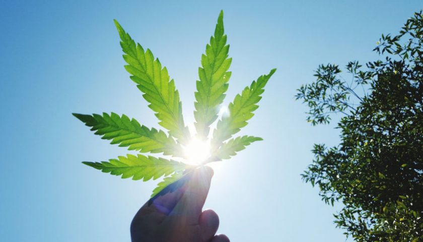 “Sono diventato potente” così parla un giovane pusher. Nell’Agro, pluripregiudicati giovanissimi