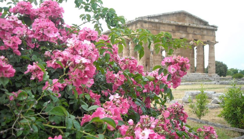 Consiglio Nazionale di Slow Food Italia si riunisce a Paestum