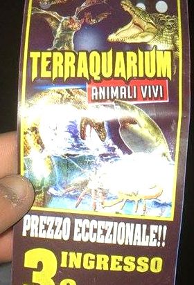 Esposizione di animali a Cava de’ Tirreni, scoppia la polemica