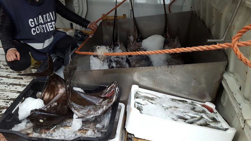 Cilento, multe e sequestri per pesca e vendita illegali