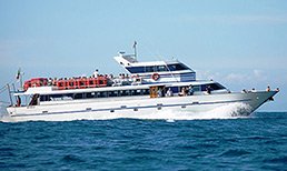 Estate 2018, Metro del Mare nel Cilento