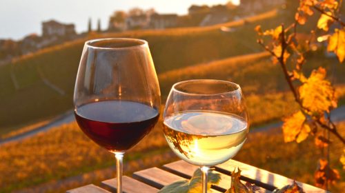 Enoturismo in Campania: strumento di valorizzazione e marketing, a Paestum primo convegno della Regione Campania