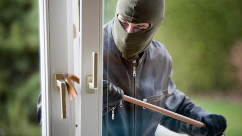 Ad Eboli ladri rubano furgone e attrezzi da un vivaio
