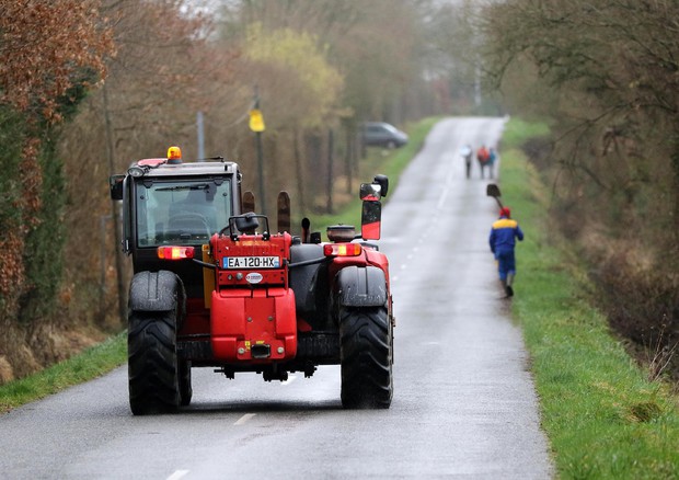 Imprese agricole, Italia più produttiva della Germania e Ue