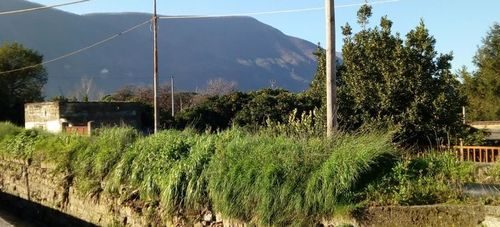 Salerno, il consigliere Pessolano: si proceda in anticipo alla pulizia di torrenti e alvei