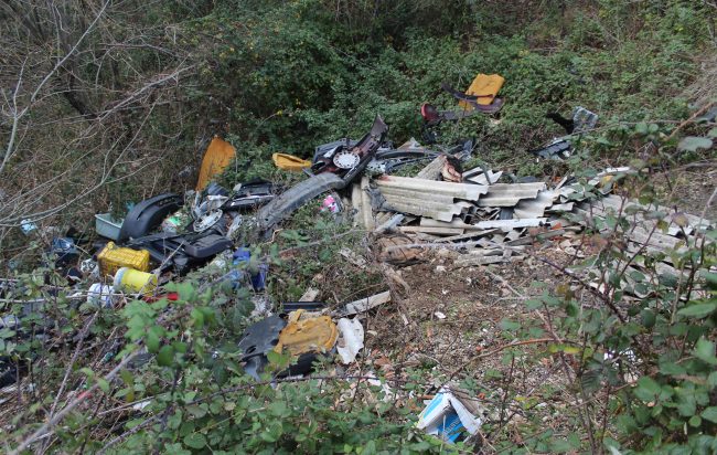 Battipaglia, carcasse di animali tra i rifiuti