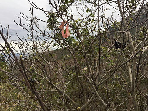 Biancheria intima sugli alberi, scatta la corsa al lotto