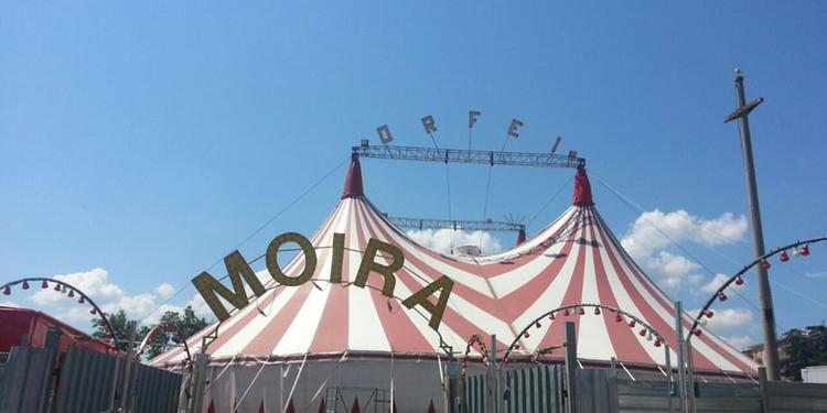 Circo, esplode la polemica in Città