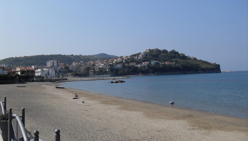 Orrore ad Agropoli, cane dato alle fiamme ed abbandonato in spiaggia