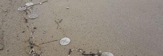 Dischetti in spiaggia, guasti al depuratore