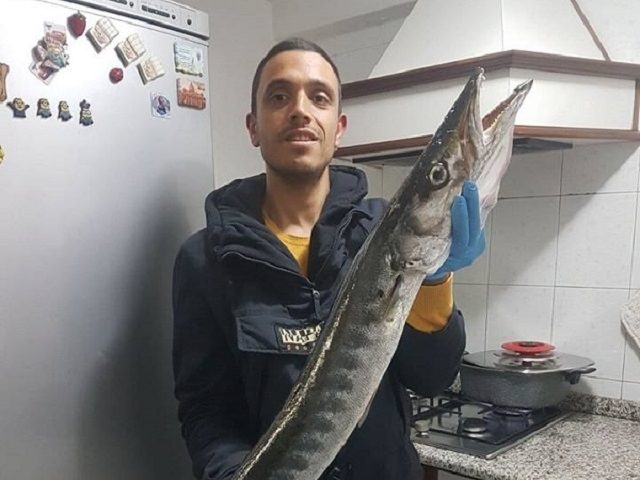 Curiosità ad Amalfi, pescato barracuda di oltre un metro