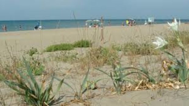 Al via la pulizia degli arenili a Capaccio Paestum