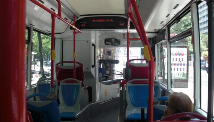 Autista di Busitalia vieta l’ingresso sul bus ai cagnolini e scoppia la tensione