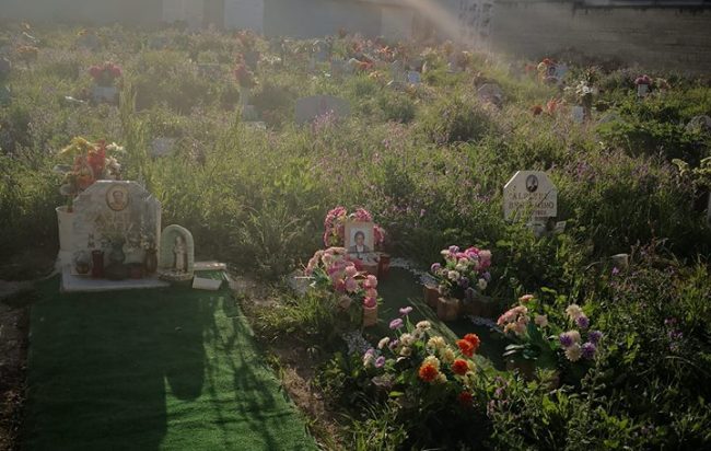 Non c’è pace per i defunti del cimitero di Battipaglia, tombe circondate da erbacce