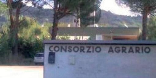 Consorzio agrario di Salerno, immobili “svenduti”