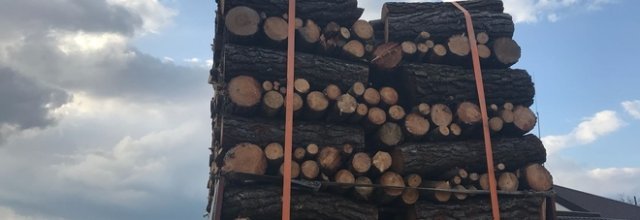 Carico record di legna sul tir, è fuorilegge: scatta il sequestro