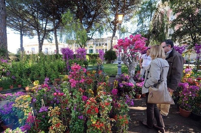 Salerno, dal 13 al 15 aprile torna la Mostra della Minerva