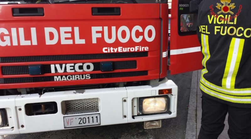 Vigili del Fuoco salvano a Giffoni Valle Piana cane di razza Maremmano