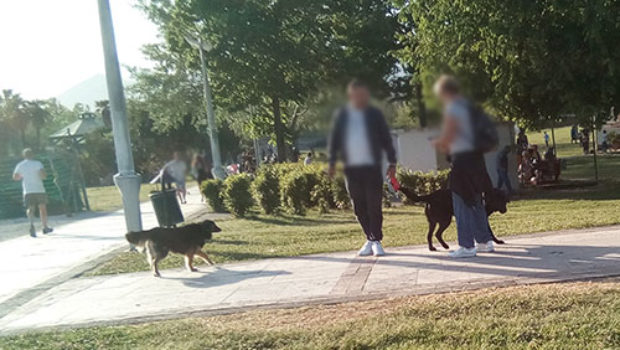 Cani senza guinzaglio al Parco del Mercatello, sanzioni della Polizia Municipale