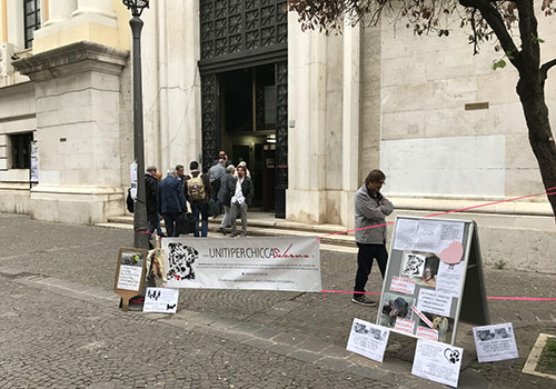 Slitta l’udienza per il killer di Chicca, la protesta degli animalisti