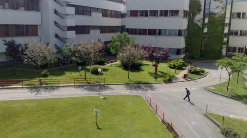 Docente insultato all’Università, procedimento disciplinare a carico dello studente