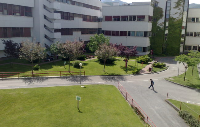 Docente insultato all’Università, procedimento disciplinare a carico dello studente