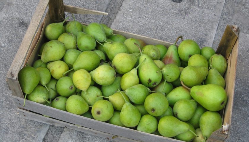 Truffa su un carico di pere, nei guai due imprenditori