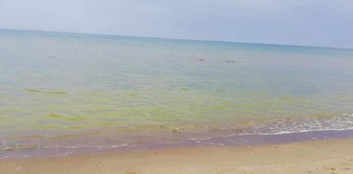 Capaccio Paestum, amara sorpresa per i bagnanti