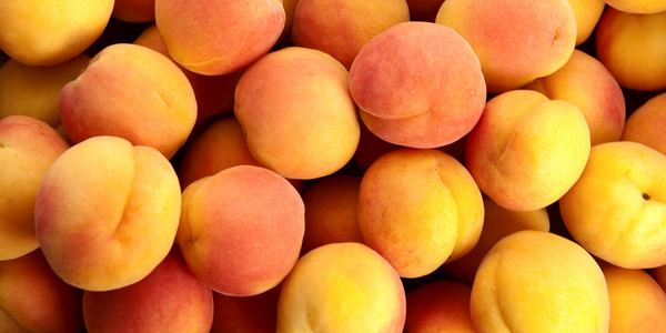 Albicocche e asparagi fuorilegge, maxi sequestro tra Salerno e Avellino
