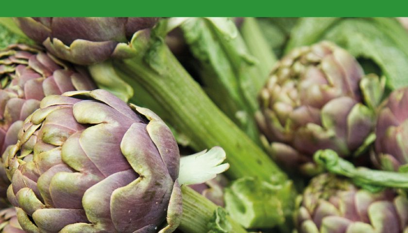 All’Università di Salerno presentazione del testo sulle proprietà nutrizionali e salutistiche del Carciofo di Paestum IGP