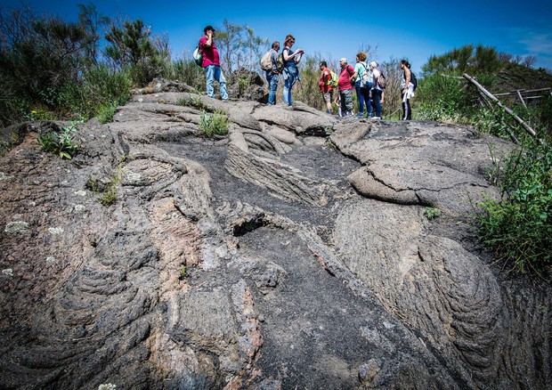 A rischio idrogeologico 91% Comuni e 3 mln famiglie