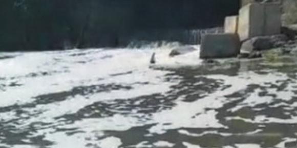 Scarichi e letame nel fiume Sele