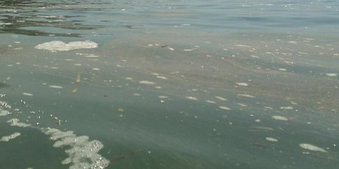 Salerno, mare sporco. Il sindaco:  in alcuni comuni costieri i depuratori non funzionano