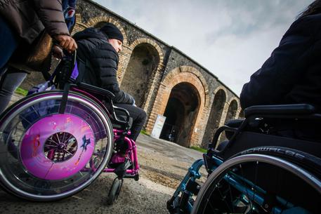 Mutilati per truffare assicurazioni