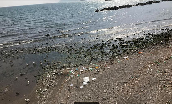 Goletta Verde: Campania maglia nera livello nazionale