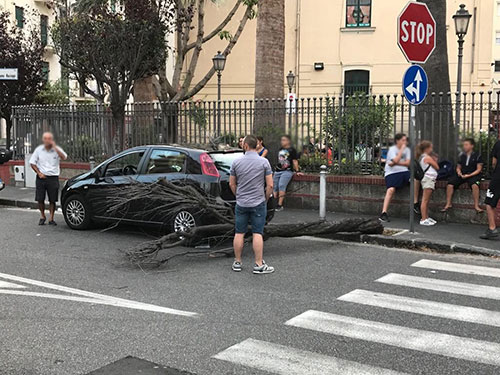 Albero cade vicino ai giardini “Mariele Ventre”, paura tra i passanti