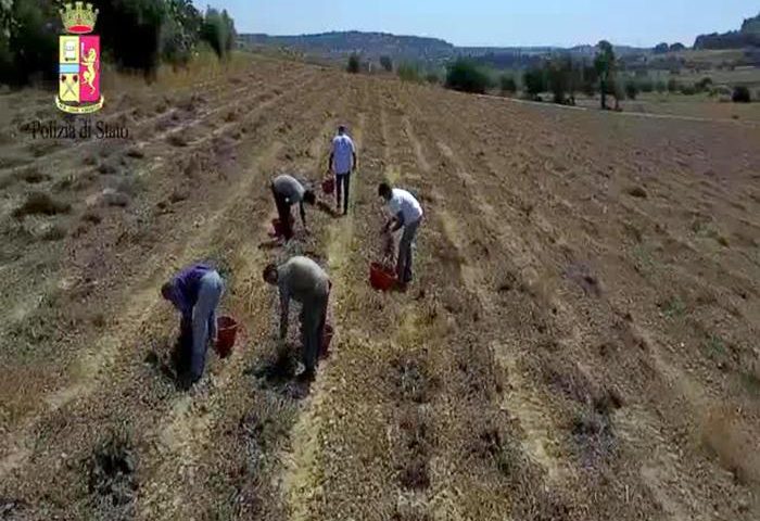 Sfruttamento della manodopera nei campi della Piana del Sele, 6 indagati