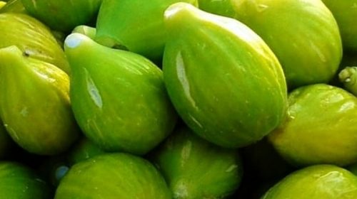Compie 10 anni la festa del fico bianco di San Giuseppe di Giungano