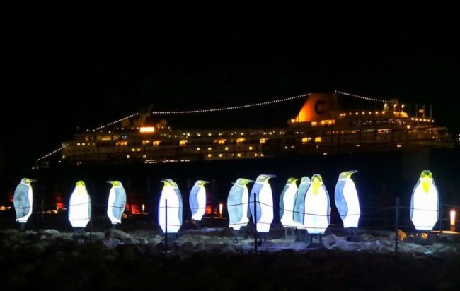 Luci d’Artista 2018: addio pinguini, arrivano i delfini
