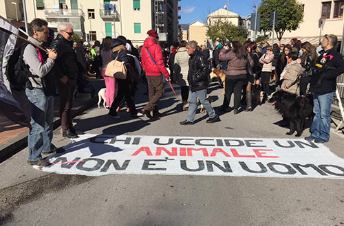 Uccise cagnolina a calci: non c’è l’imputato, udienza rinviata al 20 ottobre