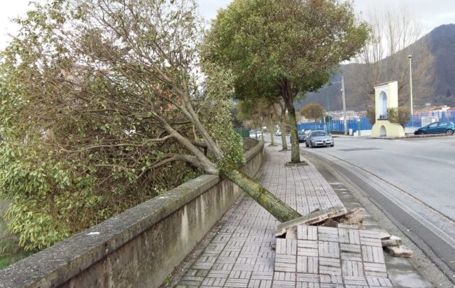 Forti raffiche di vento nel salernitano: problemi di viabilità